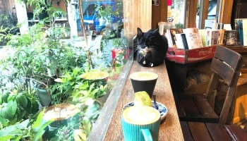 Caffe Fiore - 花蓮縣花蓮市