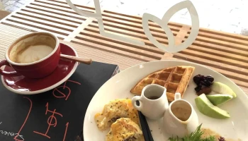 May 16 Cafe - 高雄市