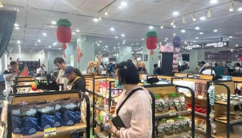 Ok特產/馬祖唯一手工文創店/藍眼淚梅花鹿專賣店/隱藏網紅店 - 209連江縣南竿鄉129號