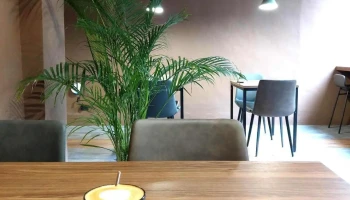 Petrichor - 新竹市