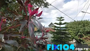 九份 - 新北市 九份 - 新北市