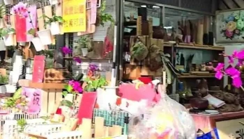 代客上板 馬蓋先 南門假日花市40攤位 - Tainan City, West Central District