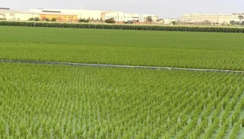 企业社 - Chiayi County, Shuishang Township