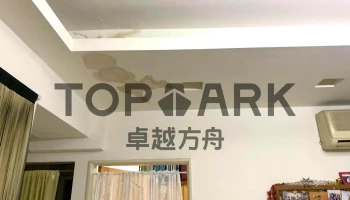 卓越方舟有限公司 - 桃園市