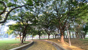大溪埔顶公园 - 桃園市
