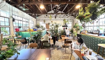廢溫室Greenhouse café - 嘉義市