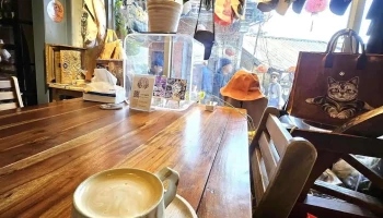 石頭貓 - 新北市 石頭貓 - 新北市
