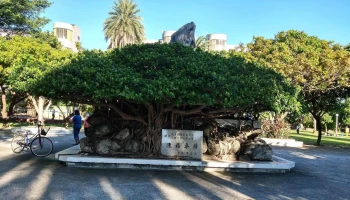 胜裕建材行 - 花蓮縣花蓮市