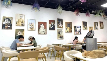 贰巷猫弄 板桥店 - 新北市 贰巷猫弄 板桥店 - 新北市