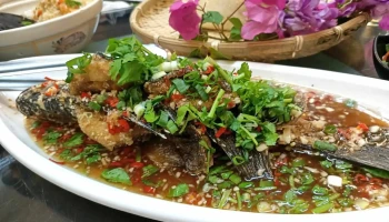 醉稻香怀旧料理餐厅 - 屏東縣屏東市