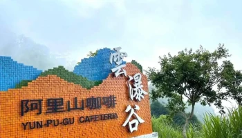 阿里山咖啡 - 606台湾嘉義縣中埔鄉金蘭村24號之26
