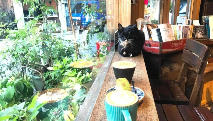 Caffe Fiore - 花蓮縣花蓮市