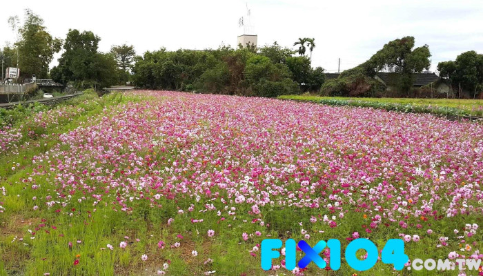 万代好广告鹰架 - Taichung City, Xitun District
