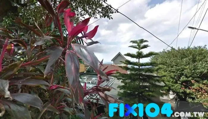 九份 - 新北市 九份 - 新北市