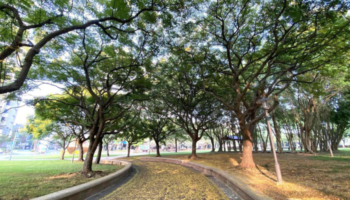 大溪埔顶公园 - 桃園市
