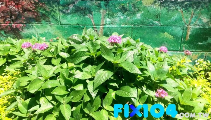 广隆铝门窗工程行 - 新竹縣竹北市