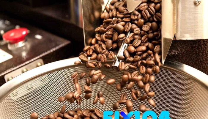日晨咖啡烘焙 (SUNDaWN Coffee Roaster)南投 咖啡豆烘焙批發、零售、濾掛一站式代工專門店 - 南投縣南投市