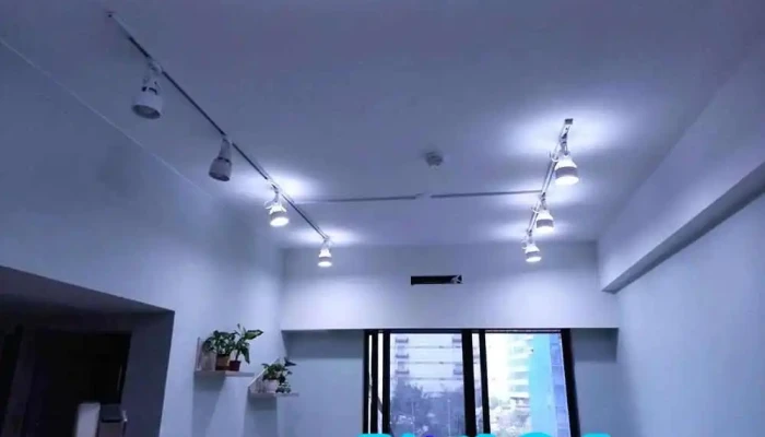 華燈市燈具高雄仁武鳳仁店 - 高雄市