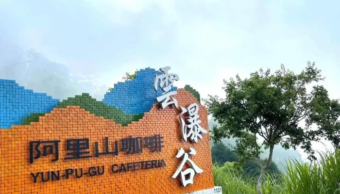 阿里山咖啡 - 606台湾嘉義縣中埔鄉金蘭村24號之26